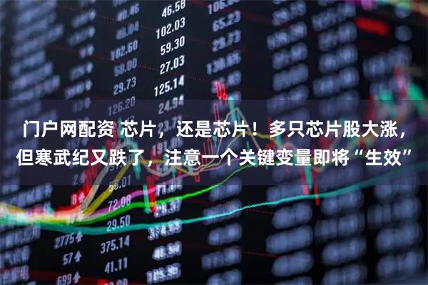 门户网配资 芯片，还是芯片！多只芯片股大涨，但寒武纪又跌了，注意一个关键变量即将“生效”
